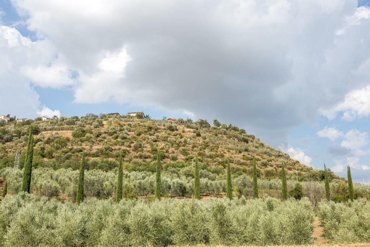 Little Val D'Orcia Appartamento Montenero d'Orcia Esterno foto