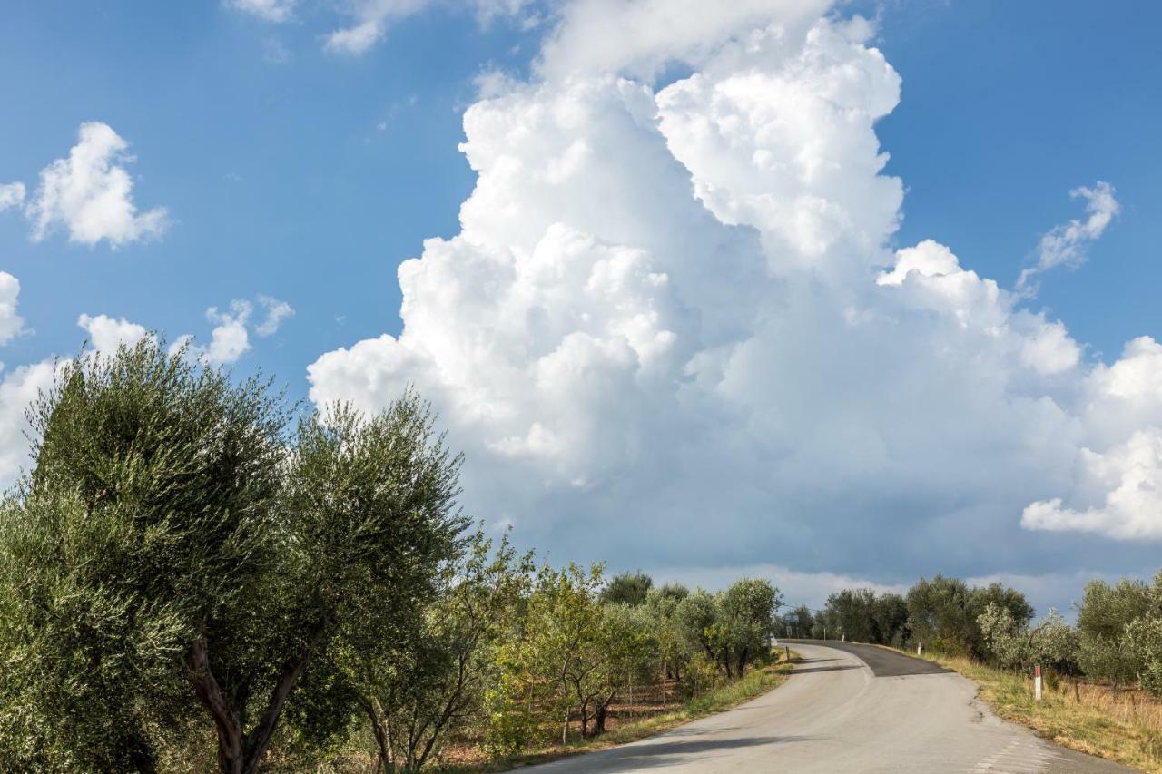 Little Val D'Orcia Appartamento Montenero d'Orcia Esterno foto